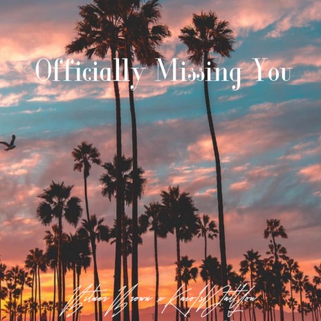 Officially Missing You (Remix) | Boomplay Music