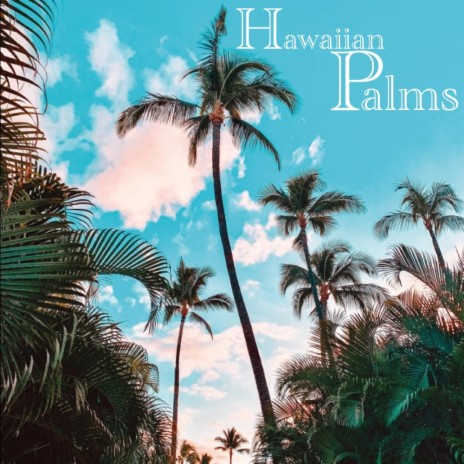 Hawaiian Palms