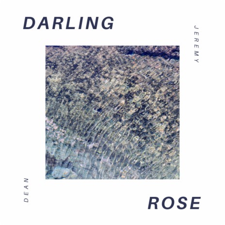 Darling Rose