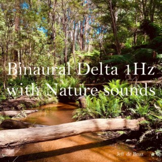 Binaural Delta 1Hz with Nature sounds