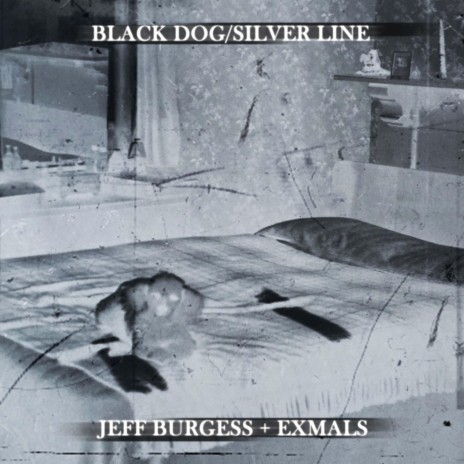 Black Dog/Silver Line ft. ΣXMALS