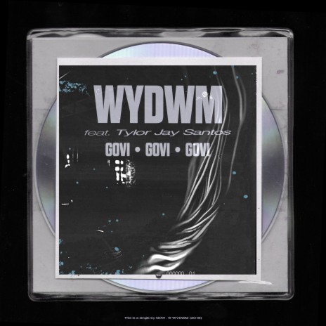 WYDWM (feat. Tylor Jay Santos) | Boomplay Music