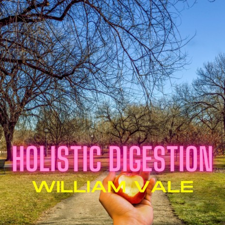 Holistic Digestion | Boomplay Music