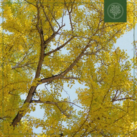 Ginkgo ft. Beats for Trees | Boomplay Music