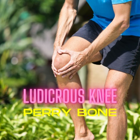 Ludicrous Knee | Boomplay Music