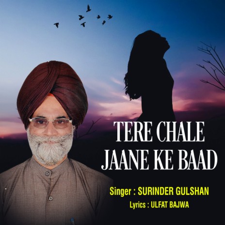 Tere Chale Jaane Ke Baad (Panjabi) | Boomplay Music