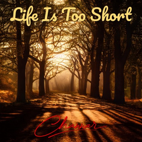 Life Is Too Short