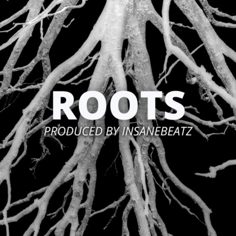 ROOTS | Freestyle Rap Beat | Hard Old School Boom Bap Type Beat | Boomplay Music