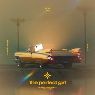 The Perfect Girl - slowed + reverb ft. twilight & Tazzy lyrics | Boomplay Music