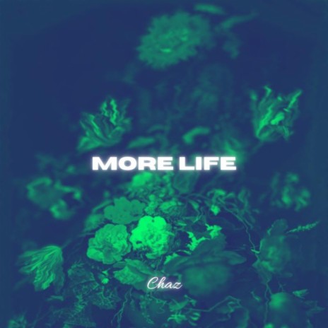 More Life (Alternate Mix) | Boomplay Music