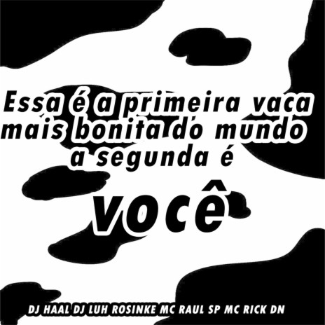 Essa é a primeira vaca mais bonita a segunda é você ft. Dj Luh Rosinke, Mc Raul SP & Mc Rick Dn | Boomplay Music