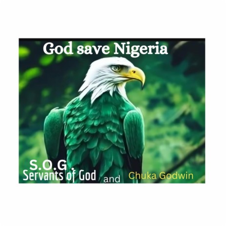 God save Nigeria | Boomplay Music