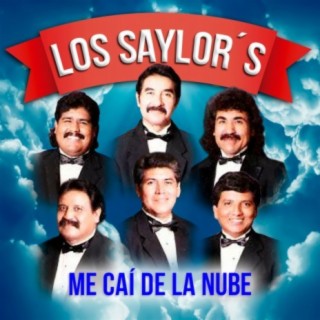 Los Saylors