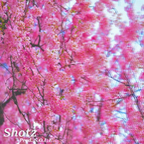 Shotz | Boomplay Music