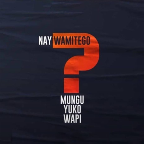 Mungu Yuko Wapi ft. Shamy