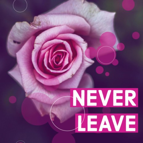 NEVER LEAVE | Boomplay Music