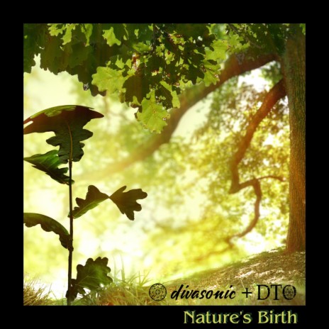 Nature's Birth ft. Divasonic | Boomplay Music