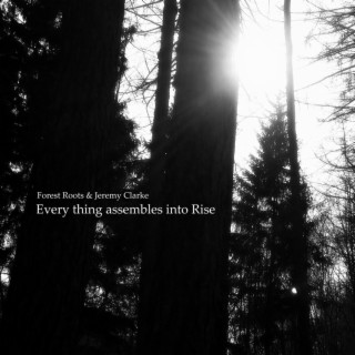 Every thing assembles into Rise