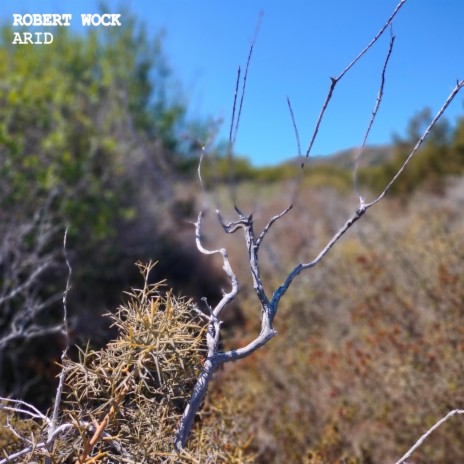 Arid | Boomplay Music