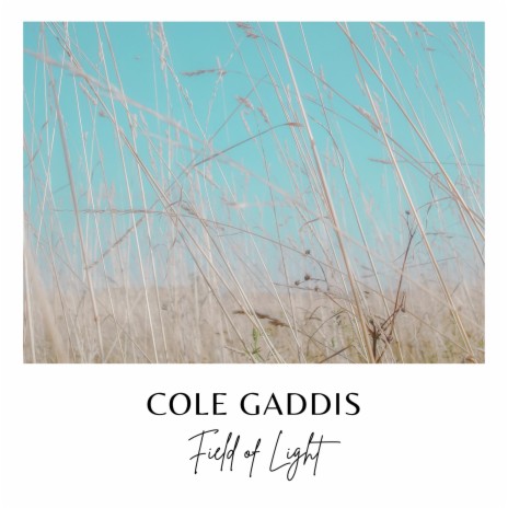 Field of Light | Boomplay Music