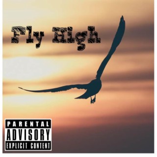 Fly High