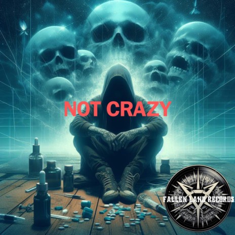 Not Crazy | Boomplay Music