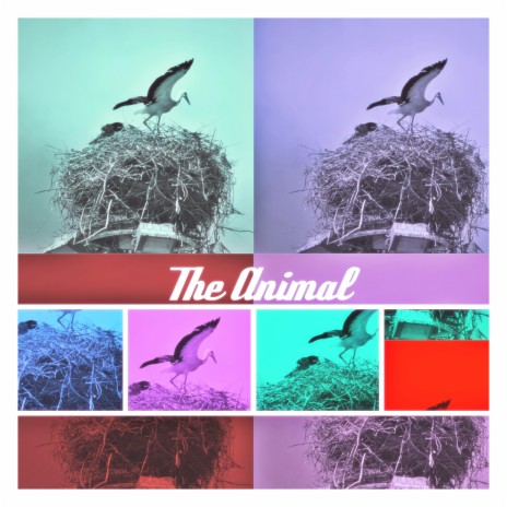 The Animal (2022 Version) | Boomplay Music