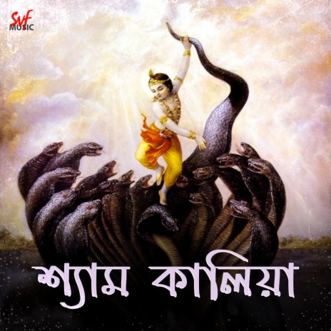 Shyam Kaliya | Boomplay Music