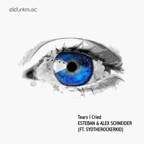 Tears I Cried ft. Alex Schneider & Sydtherockerkid | Boomplay Music