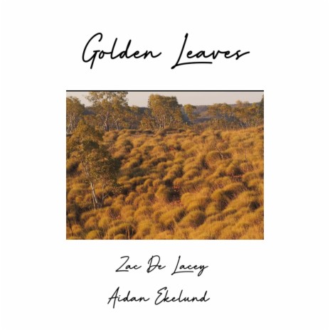 Golden Leaves ft. Aidan Ekelund | Boomplay Music