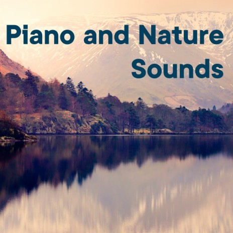 Piano And Nature Sounds Vol.2 ft. Schola Camerata | Boomplay Music