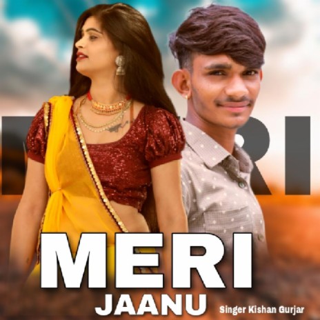 Meri Jaanu | Boomplay Music