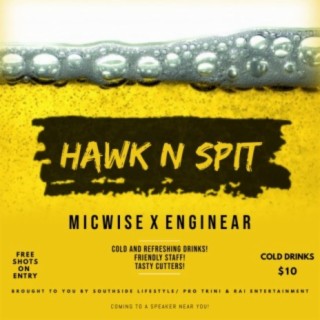 Hawk N Spit (feat. Enginear)