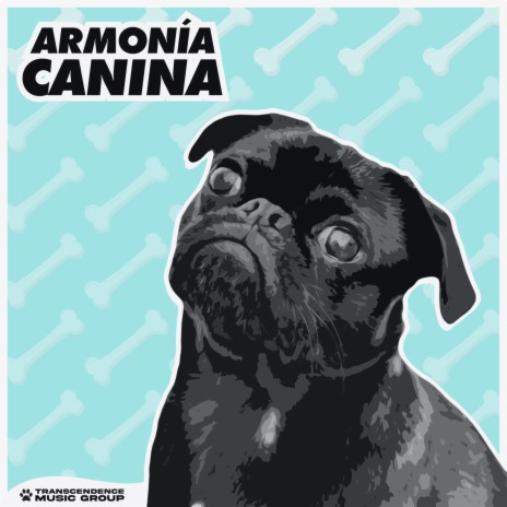 Cachorros Soñolientos ft. Mascotas tranquilas & Música Pura Para Perros | Boomplay Music