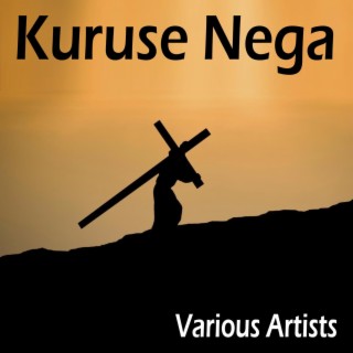 Kuruse Nega