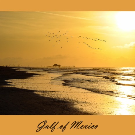 Gulf of Mexico | Boomplay Music