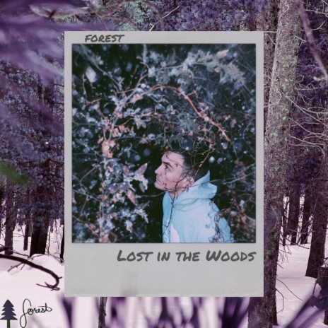 Lost In the Woods