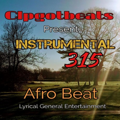 315 Afro Beat | Boomplay Music
