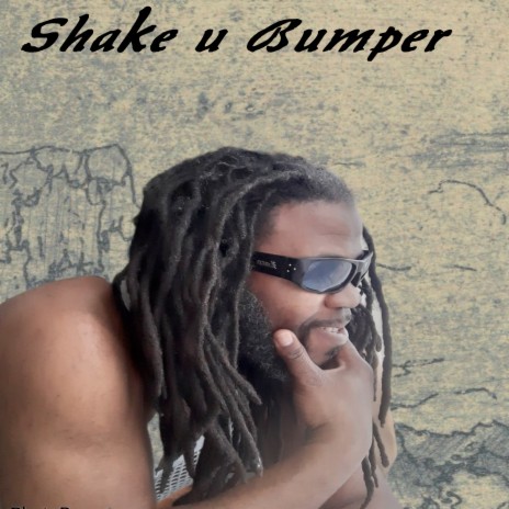 Shake U Bumper