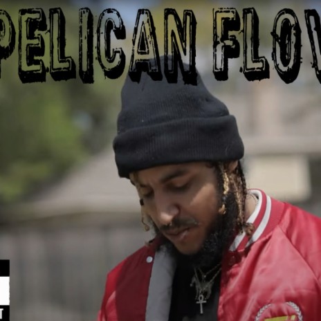 Pelican Flow | Boomplay Music