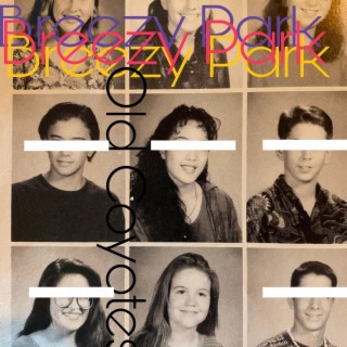 Breezy Park lyrics | Boomplay Music