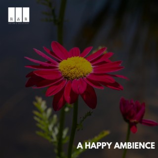 A Happy Ambience