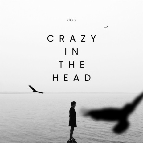 Crazy in the Head | Boomplay Music