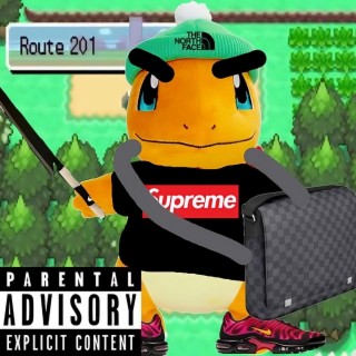 Route 201