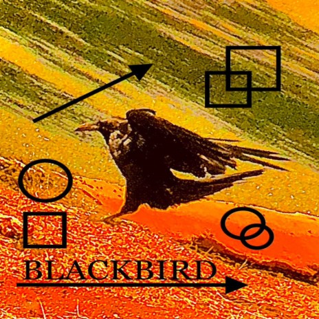 BLACKBIRD | Boomplay Music