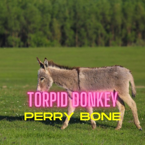 Torpid Donkey
