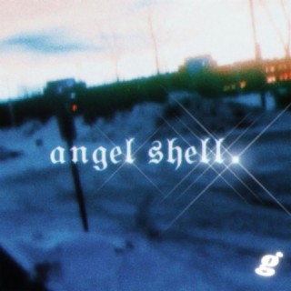 angel shell.