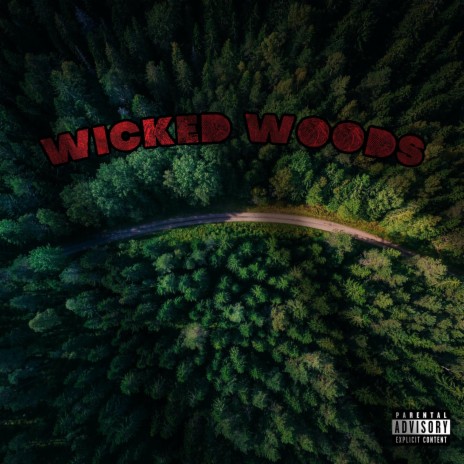 WICKED WOODS ft. Wiicckk & Lil Fenda Versetti | Boomplay Music