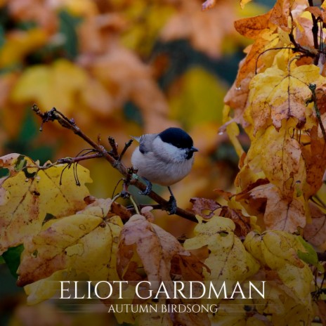 Autumn Birdsong