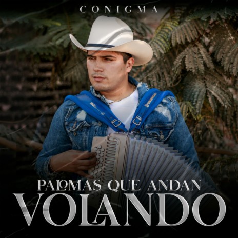 Palomas Que Ando Volando | Boomplay Music